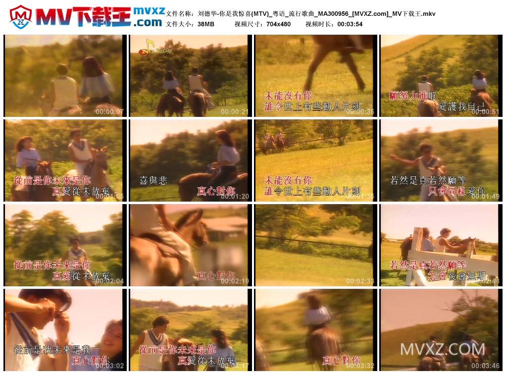 刘德华-你是我惊喜(MTV)_粤语_流行歌曲_MA300956